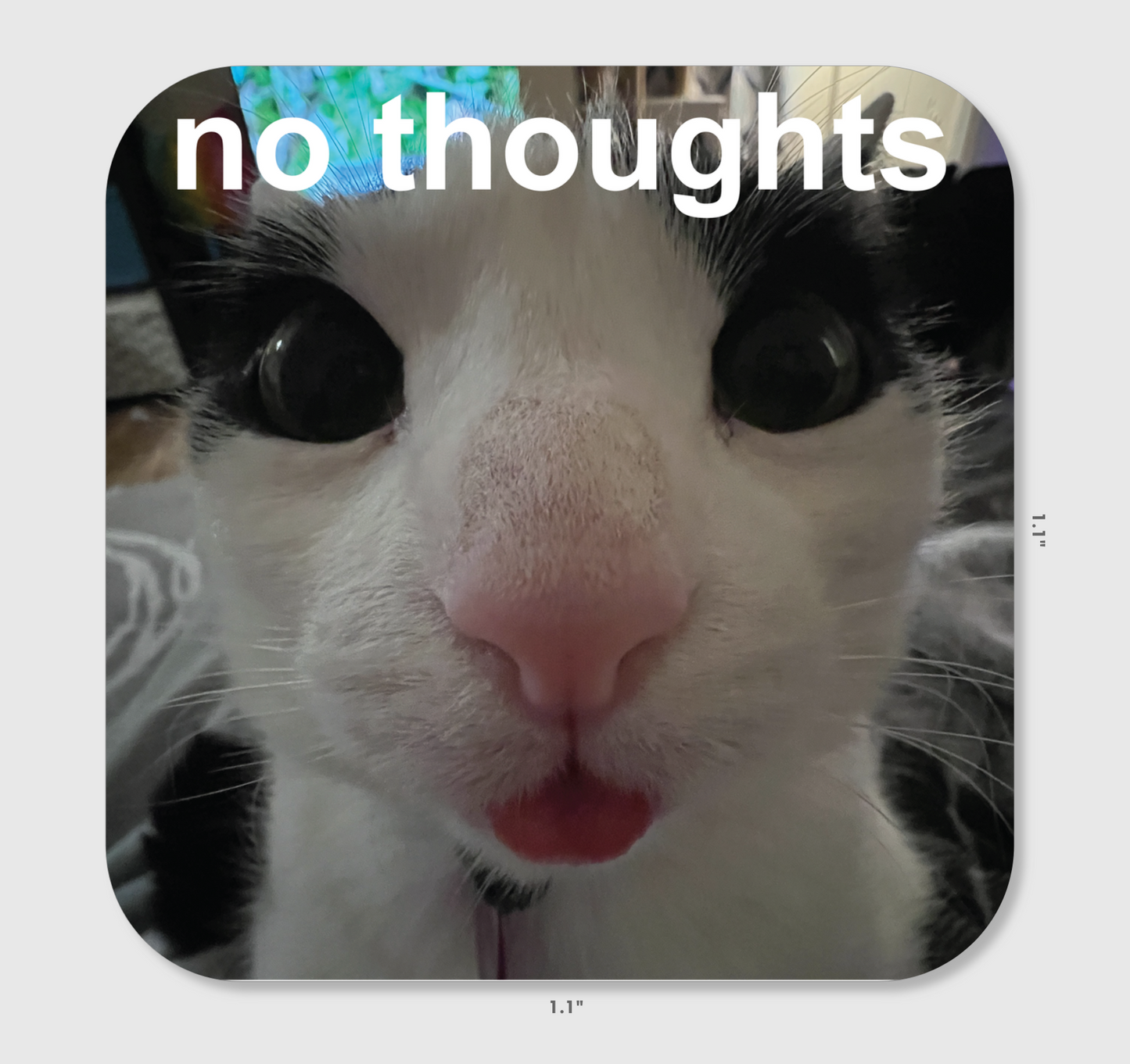 Sticker - No Thoughts