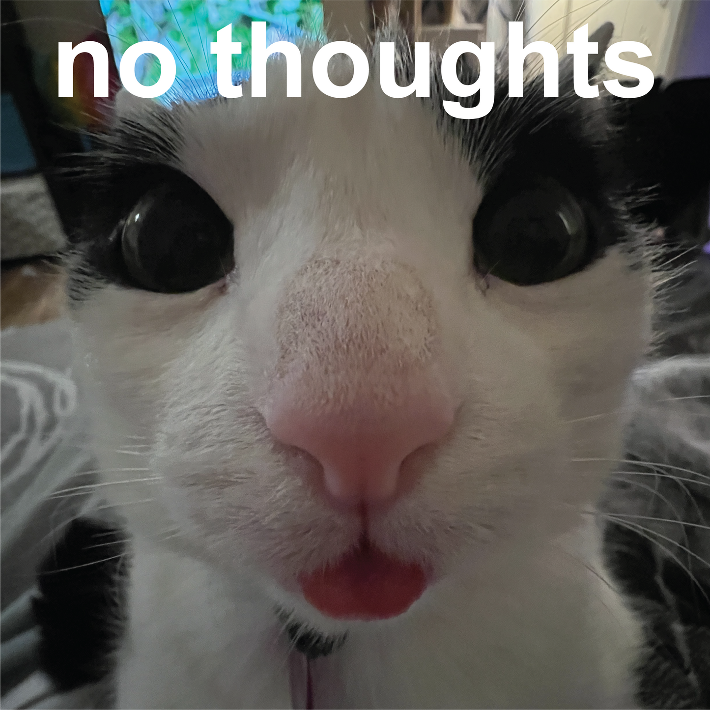 Sticker - No Thoughts